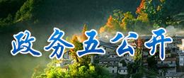 政務(wù)五公開