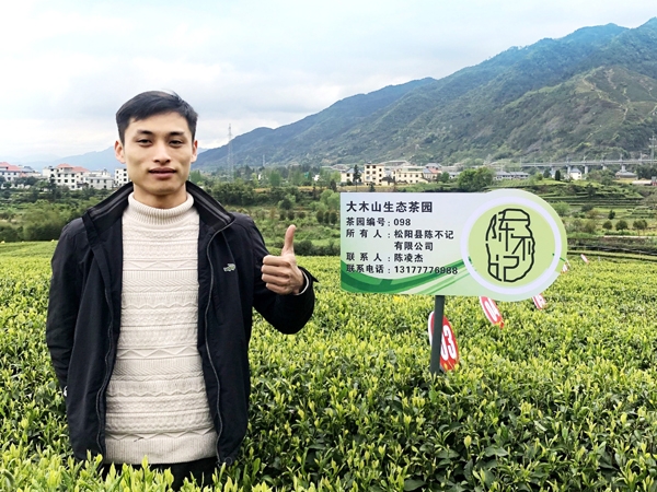 陳凌杰：以電...