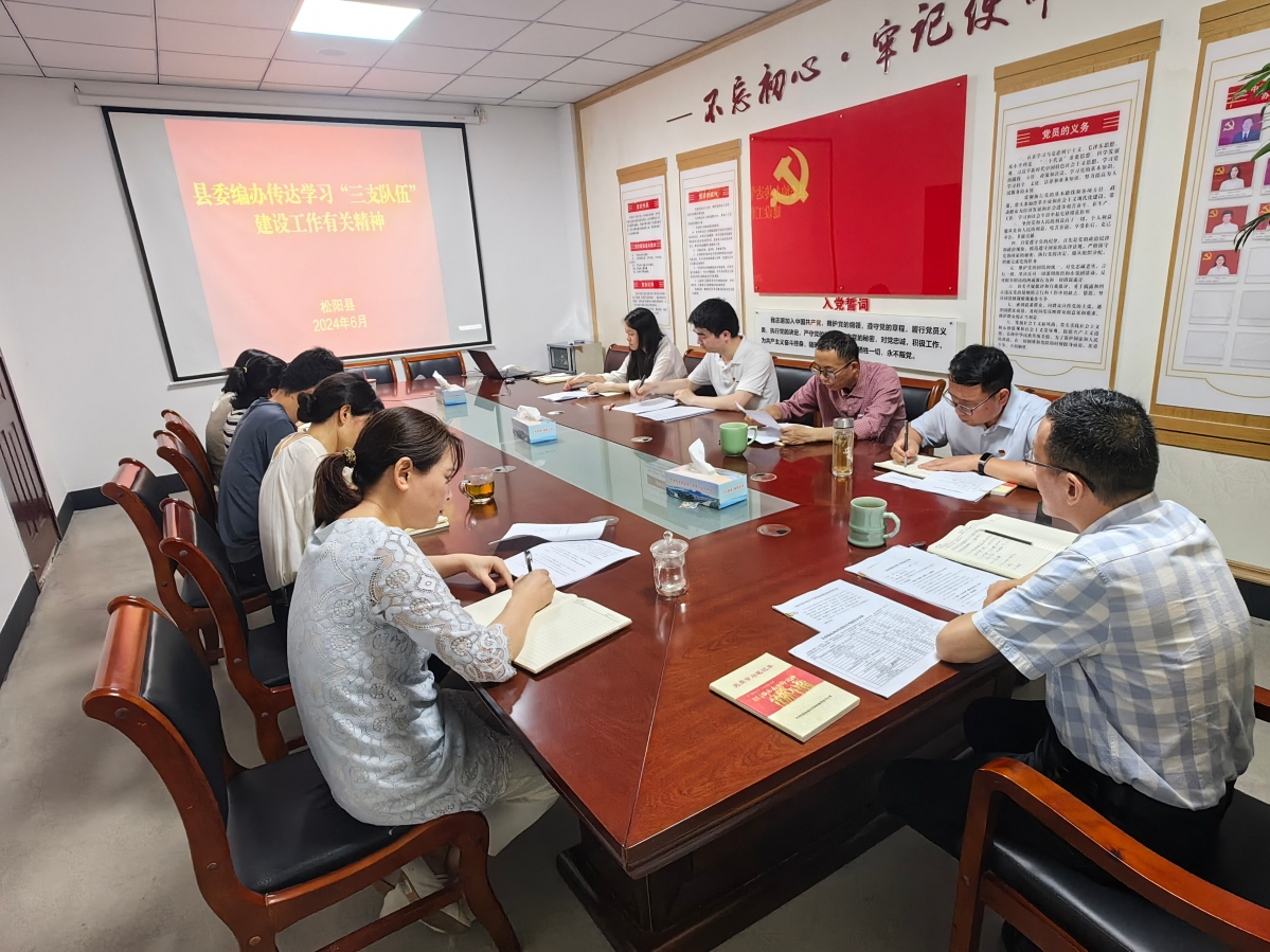 松陽(yáng)縣委編辦傳達(dá)學(xué)習(xí)“三支隊(duì)伍...